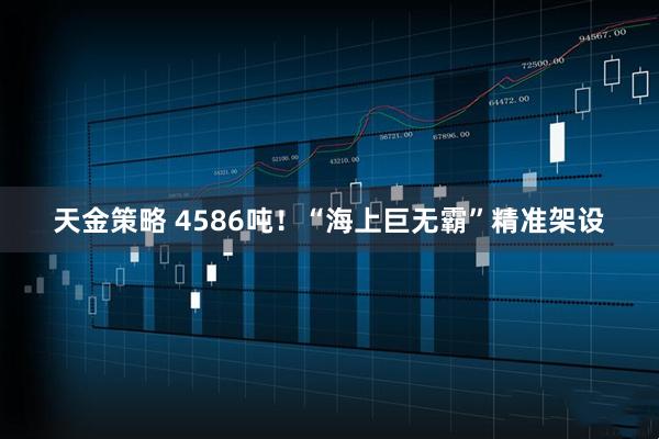 天金策略 4586吨！“海上巨无霸”精准架设