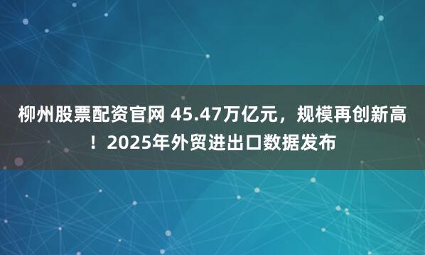 柳州股票配资官网 45.47万亿元，规模再创新高！2025年外贸进出口数据发布