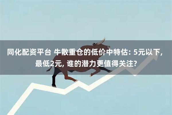 同化配资平台 牛散重仓的低价中特估: 5元以下, 最低2元, 谁的潜力更值得关注?
