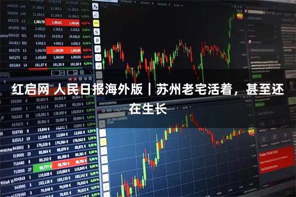 红启网 人民日报海外版｜苏州老宅活着，甚至还在生长
