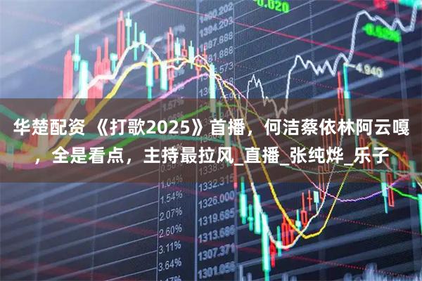 华楚配资 《打歌2025》首播，何洁蔡依林阿云嘎，全是看点，主持最拉风_直播_张纯烨_乐子